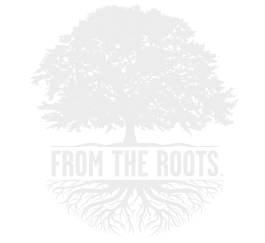 From the Roots Logo